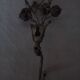 Old metal hook "old roses"