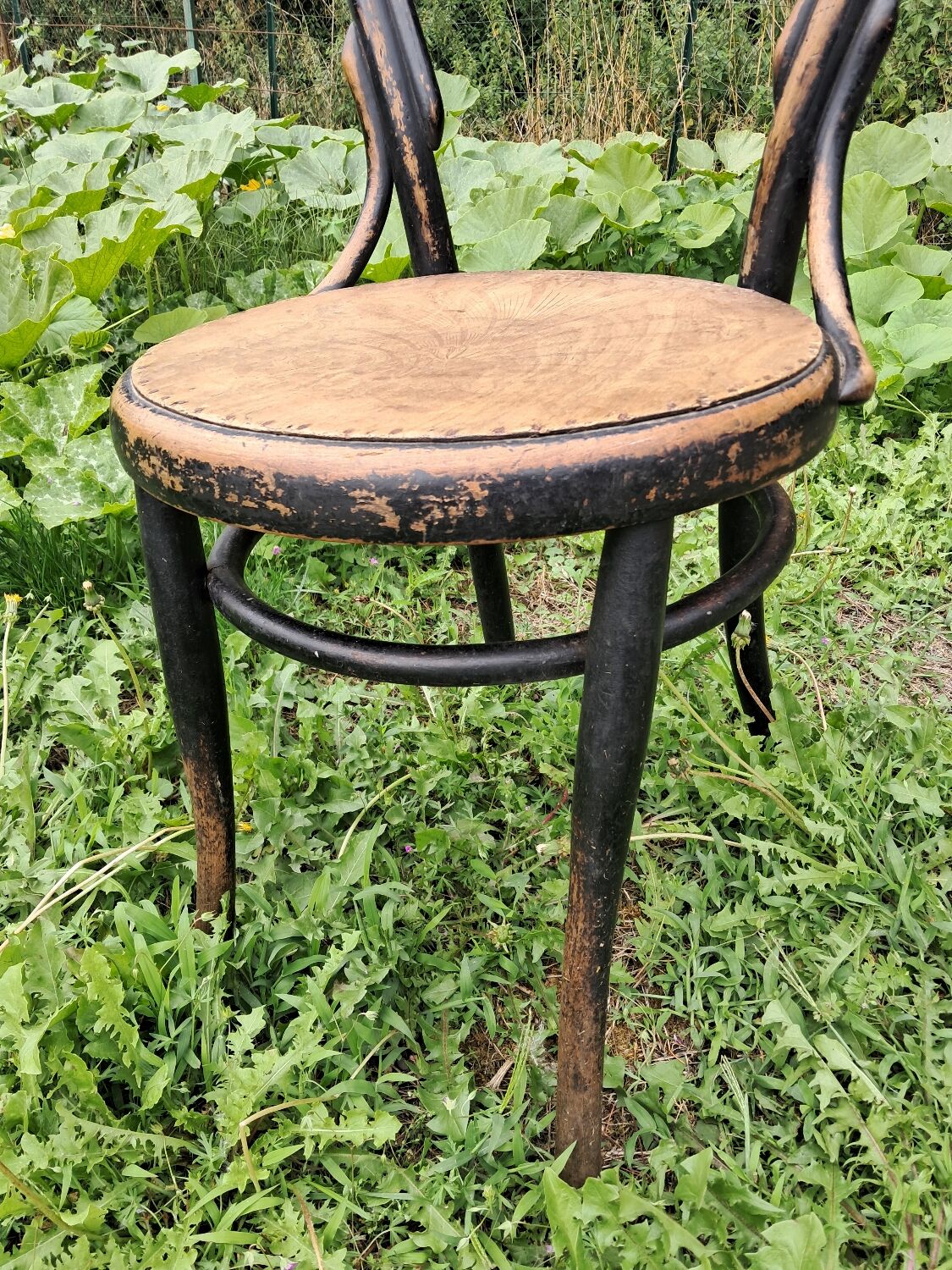 Pair of bistro-style chairs