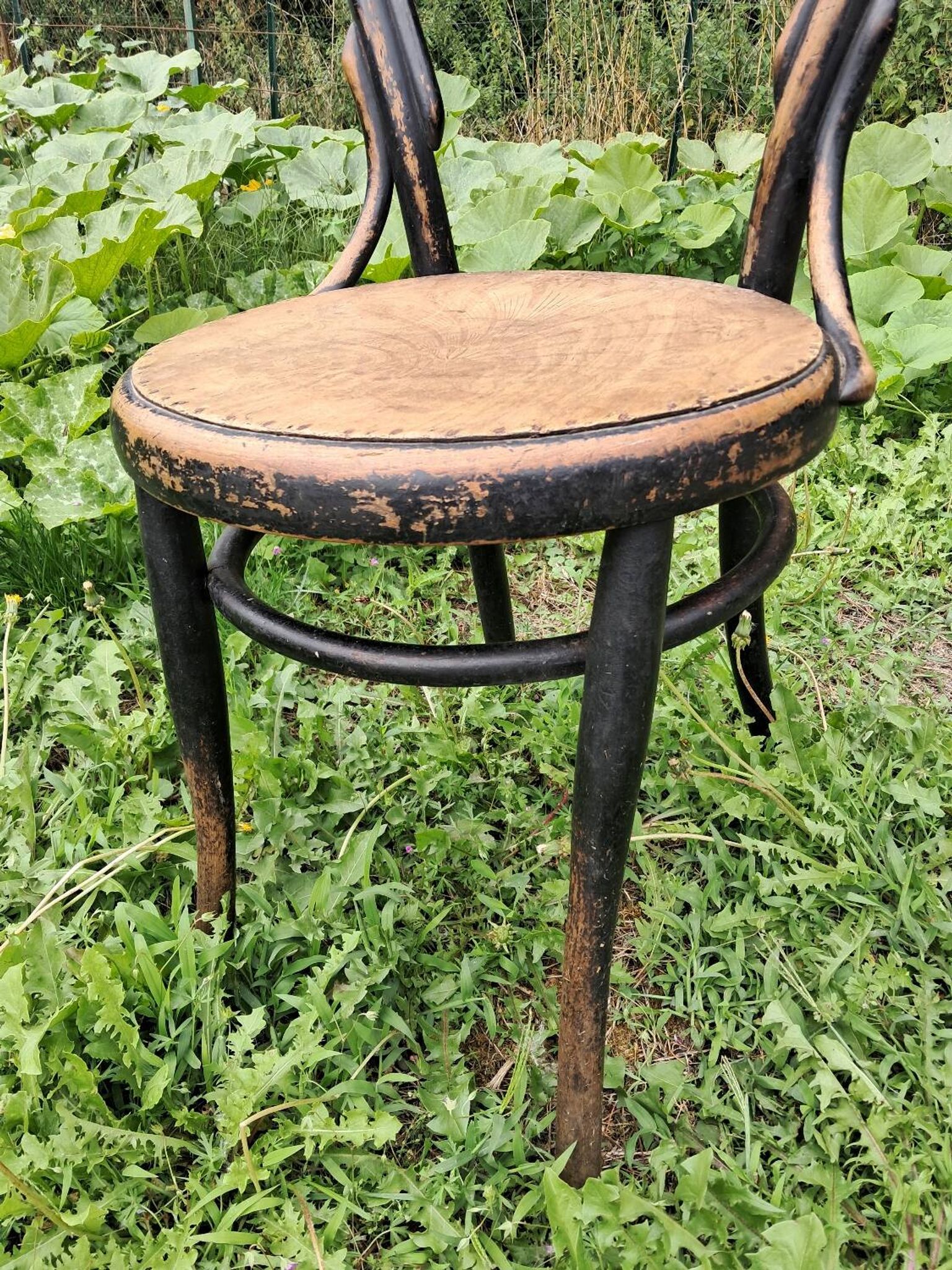 Pair of bistro-style chairs