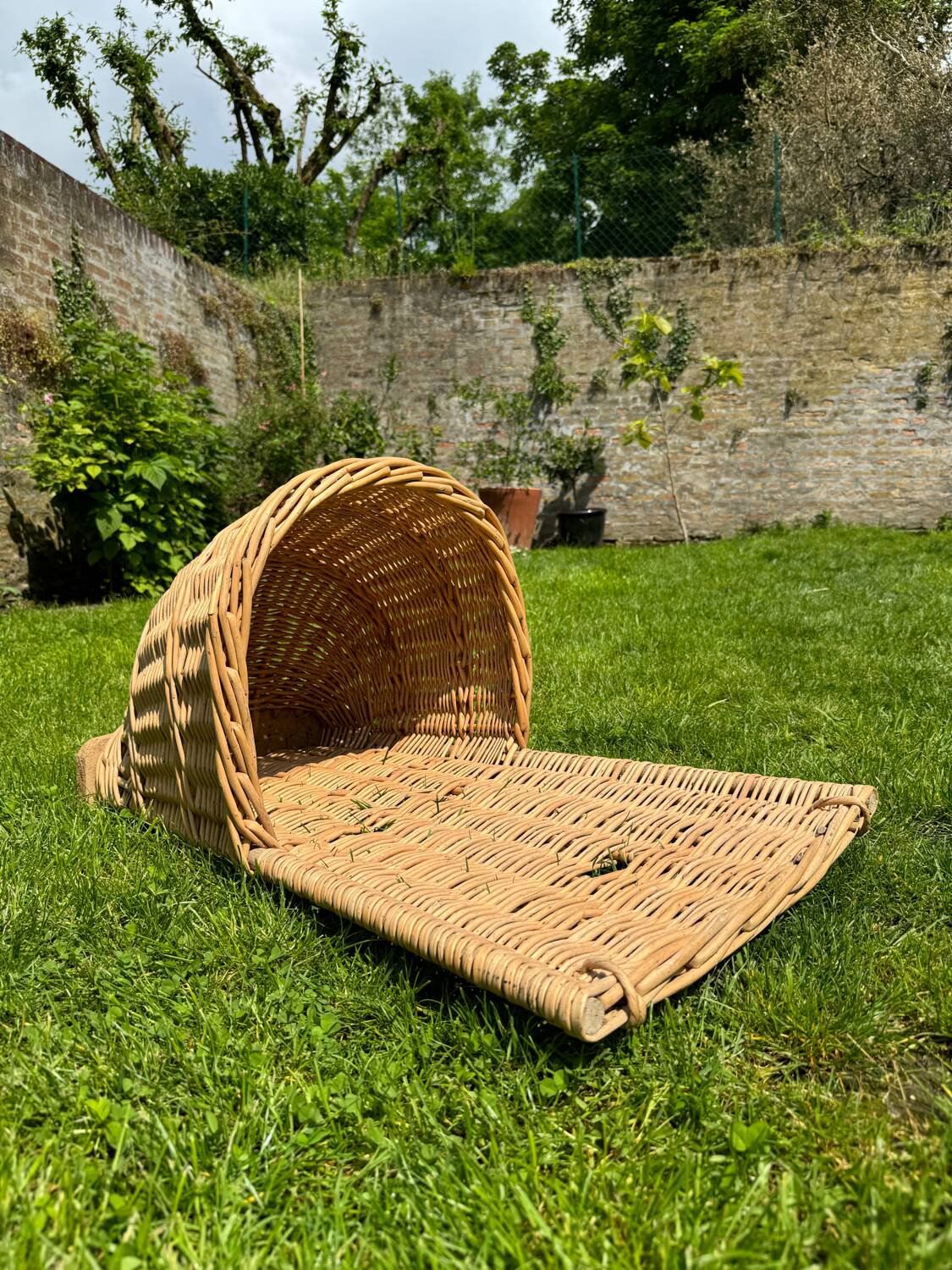 Hotte champenoise, panier en osier à suspendre
