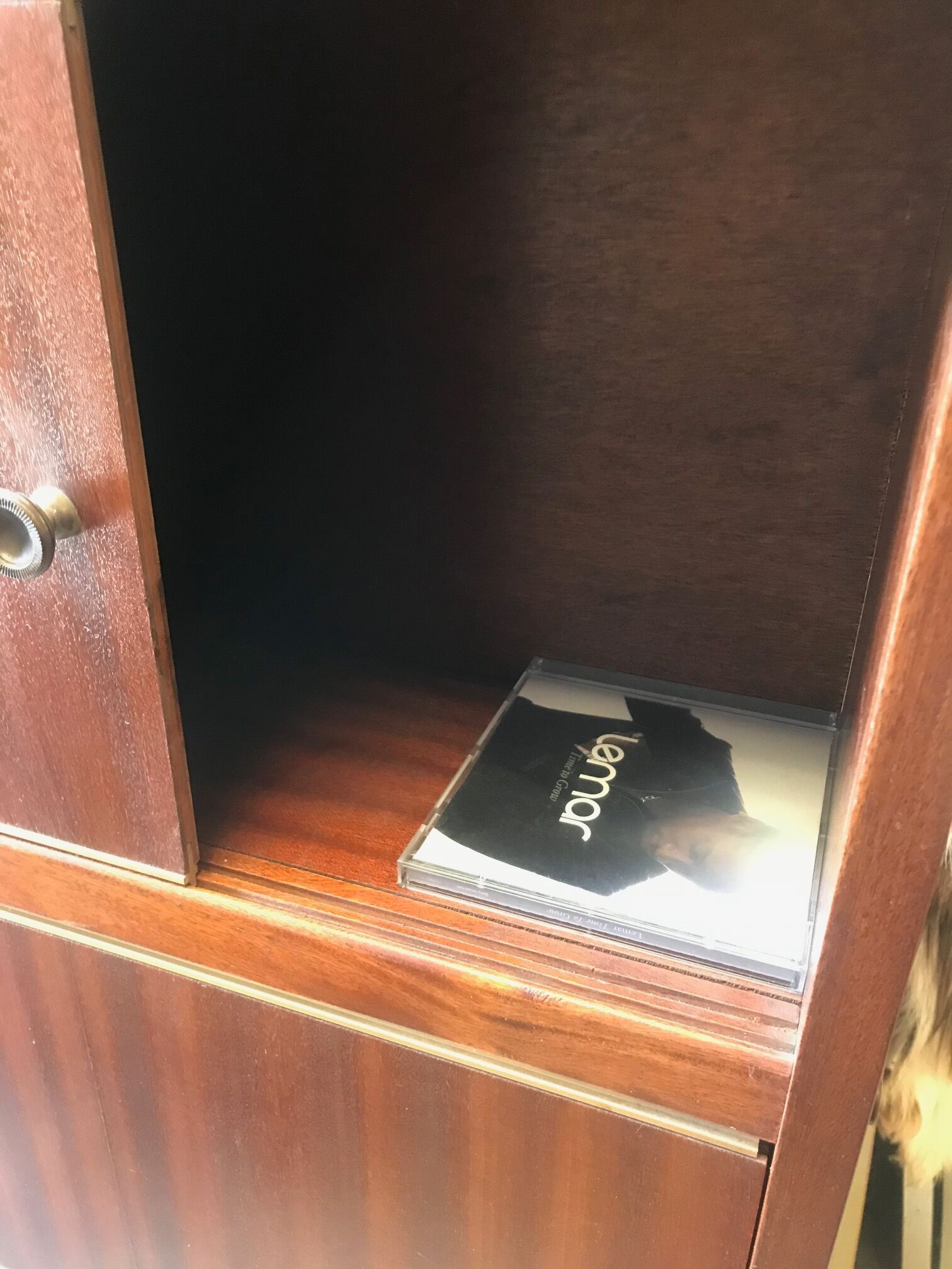 Mahogany storage cabinet