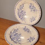 Duo flat plates Badonvillers