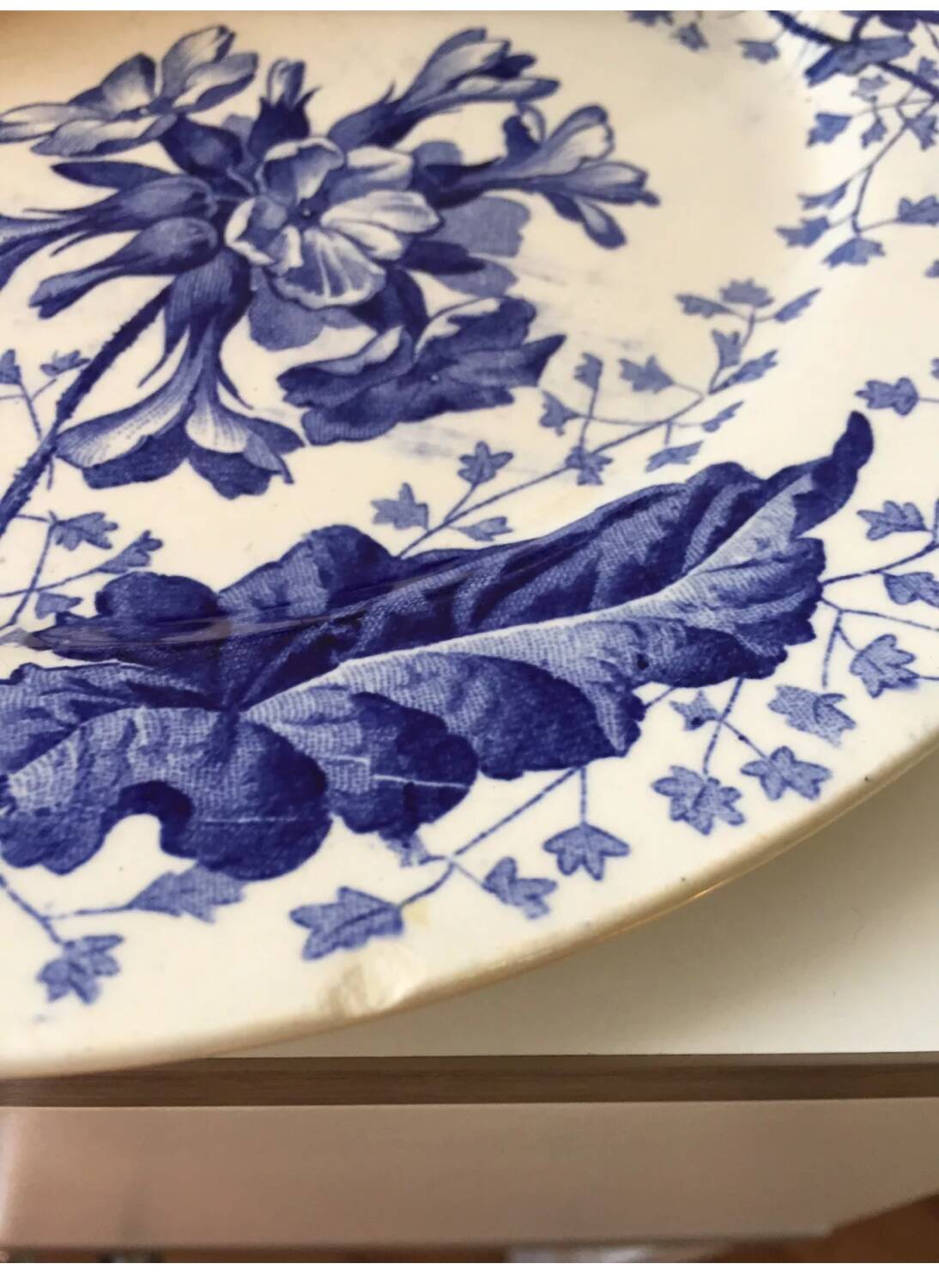 Assiette terre de fer Creil et Montereau décor primevère XIX