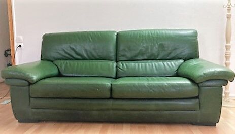 Canape cuir buffle green 2 places