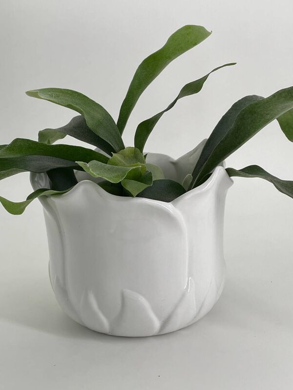Cache pot en forme de tulipe porcelaine blanc vintage