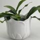Cache pot en forme de tulipe porcelaine blanc vintage