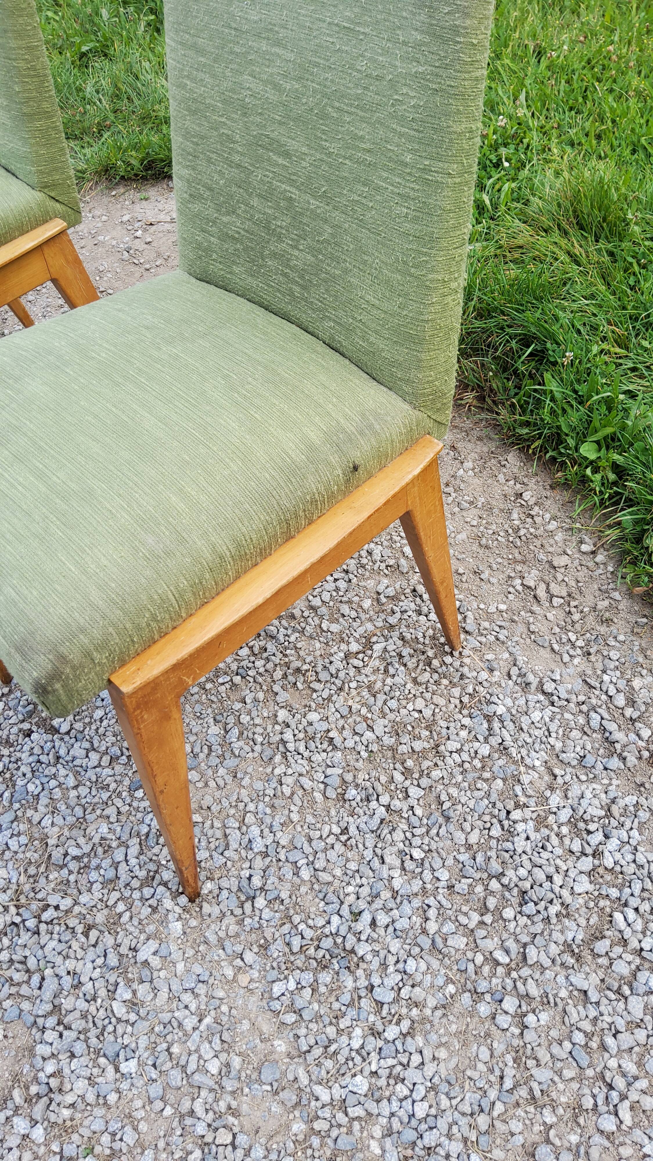 Pair of chairs from the 50s in sycamore tinted beech