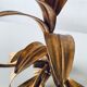 Golden leaf wall light