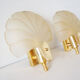 Pair of glass shell appliques