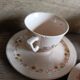 6 tasses et sous-tasses rose modèle Betty faïenc. de Longwy 1930