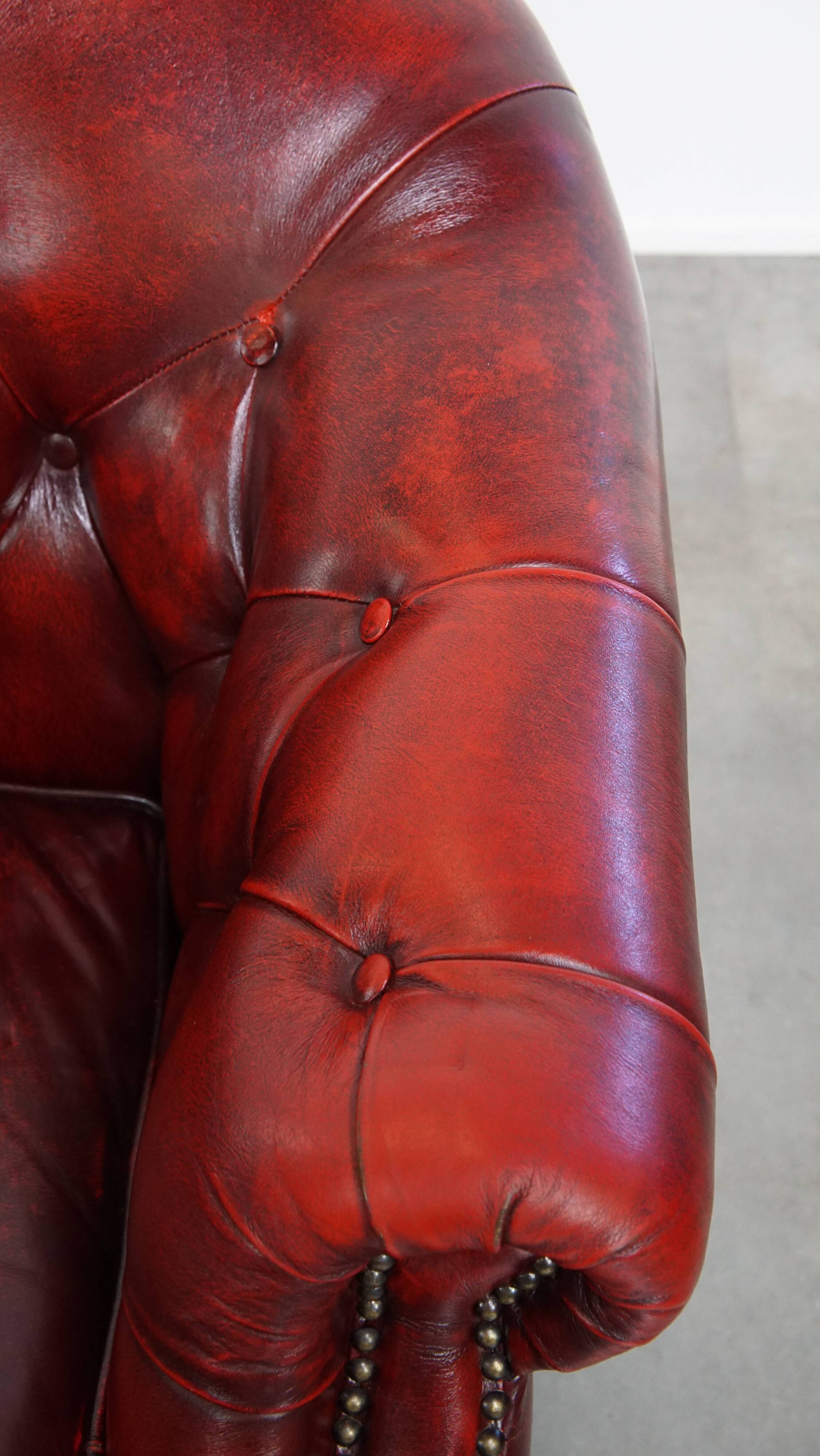 Ensemble de 6 fauteuils club Chesterfield en cuir de vache anglais