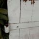 Small solid antique wooden shutter, 104cm high x 54cm wide