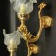 Pair of dolphin wall sconces in Louis XVI style - gilded bronze