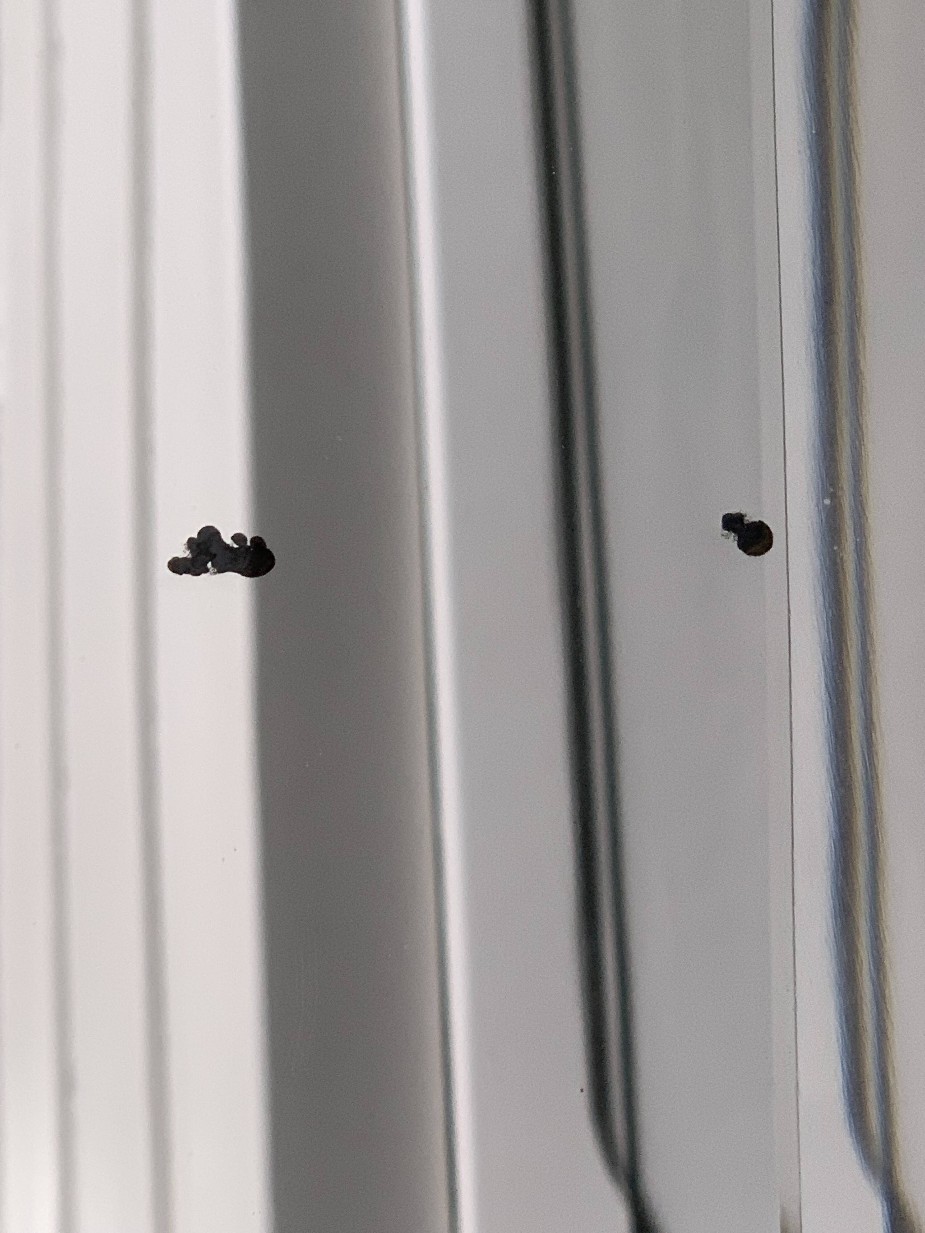 Beveled mirror on turquoise Parisian door