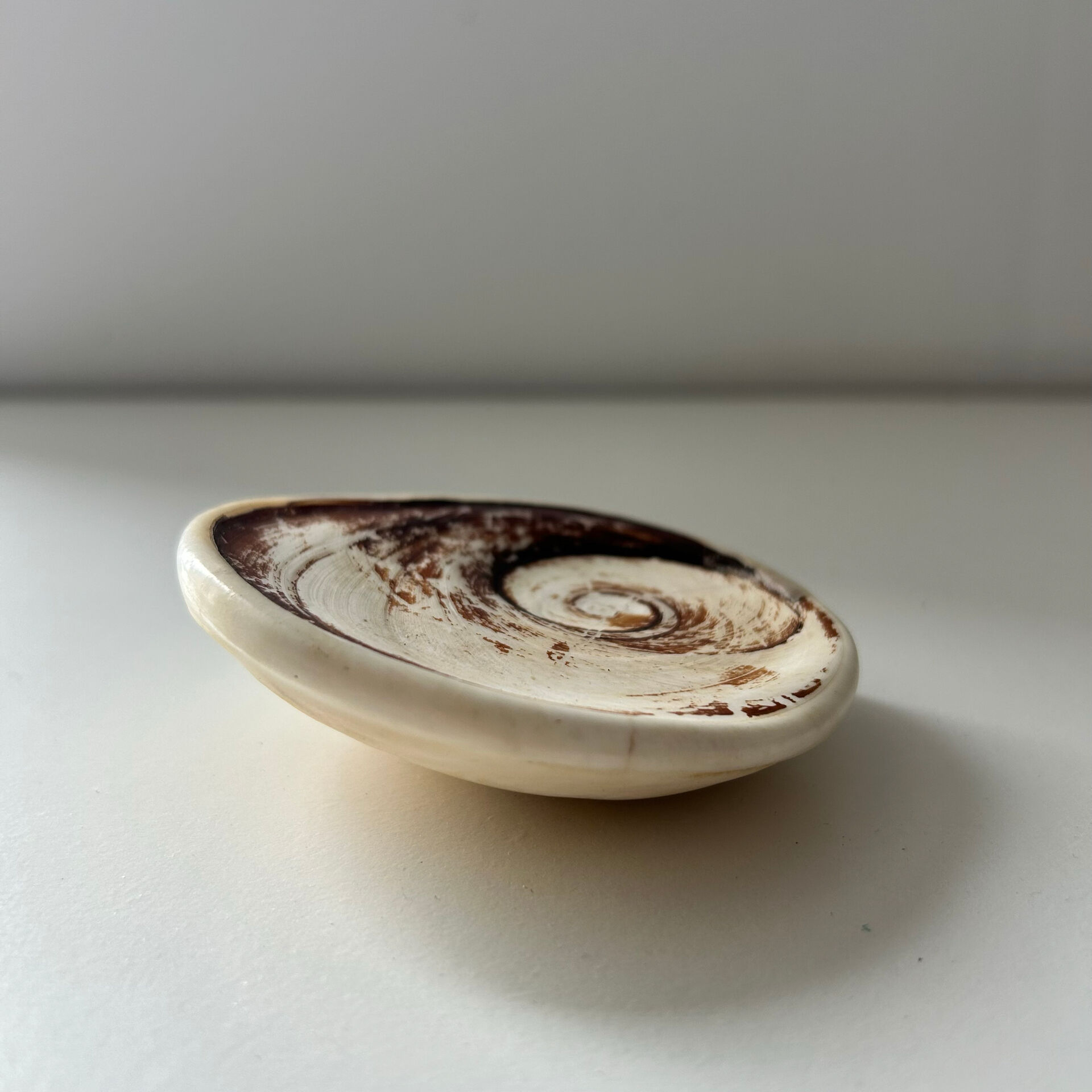 Fossilised shell