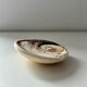 Fossilised shell