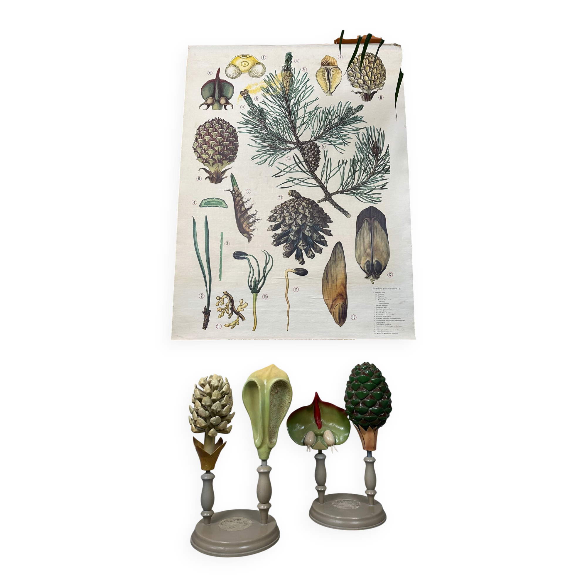 Antique linen school chart + Brendel models