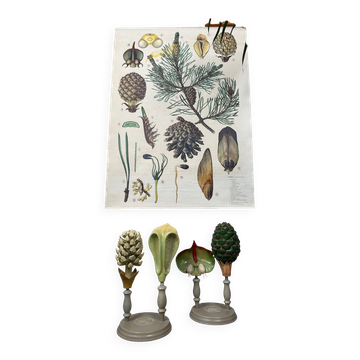 Tableau scolaire en lin ancien + modèles Brendel