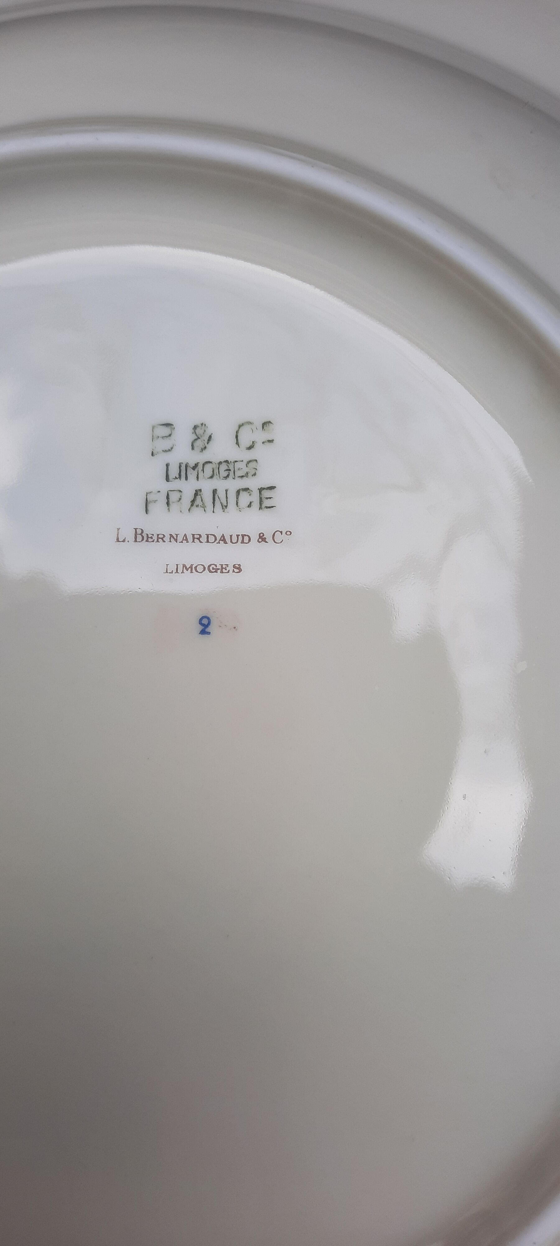 Plate set bernardaud Limoges