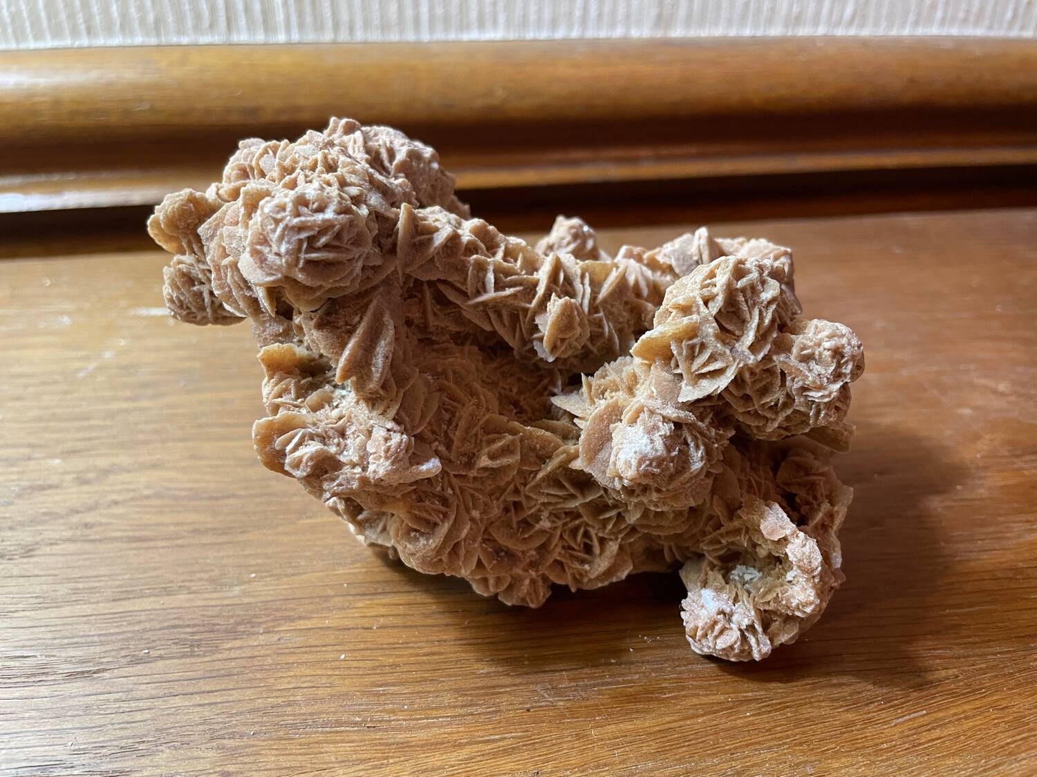 Sand rose 14cm