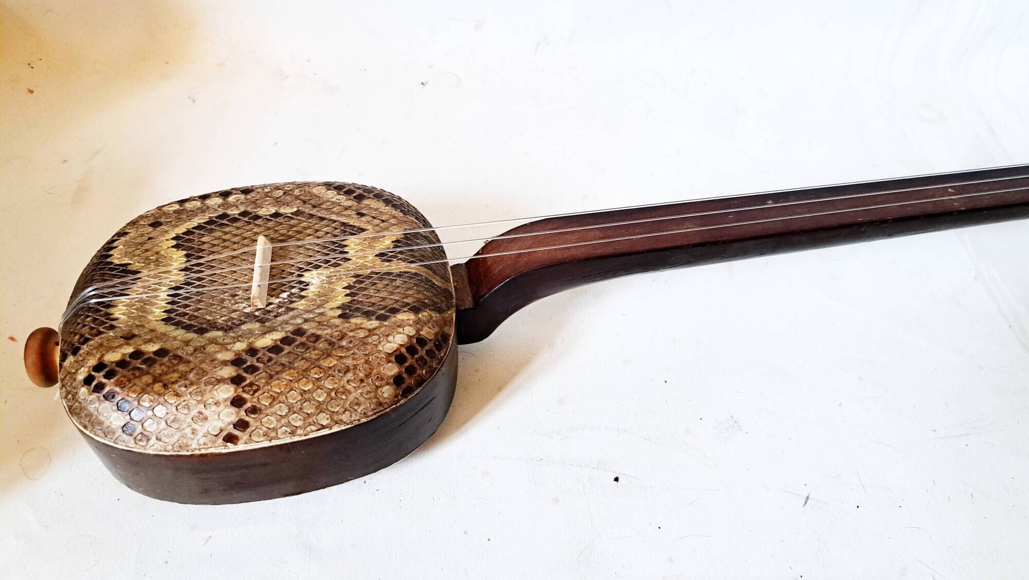 Okinawa shamisen sanshi traditional japanese instrument