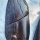Set of 5 vintage African masks