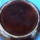 Plat Vallauris