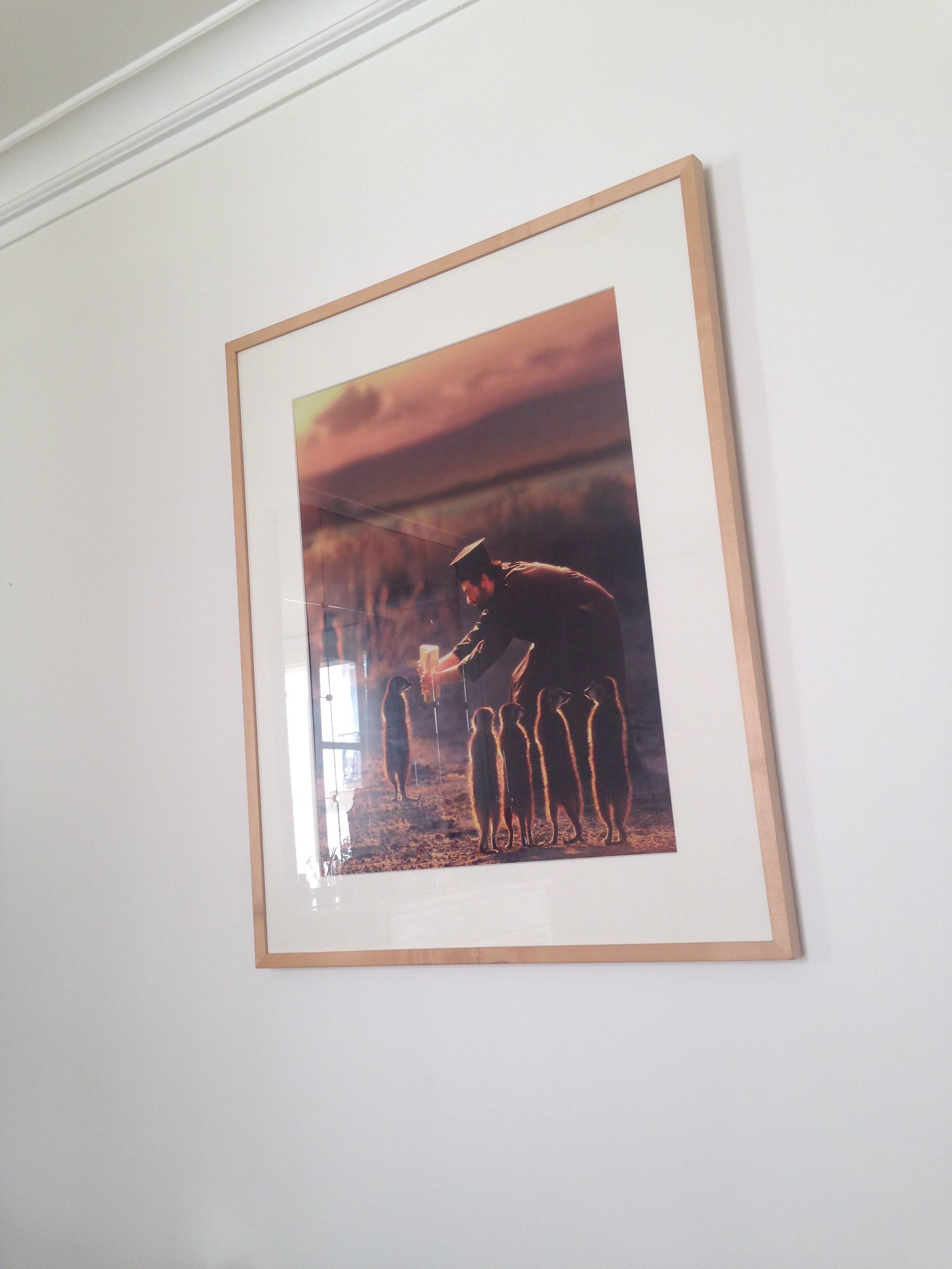 Photography by Joan Fontcuberta original authentic artwork 5/5 series Miracles & Co