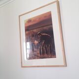 Photography by Joan Fontcuberta original authentic artwork 5/5 series Miracles & Co