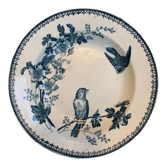 Plate