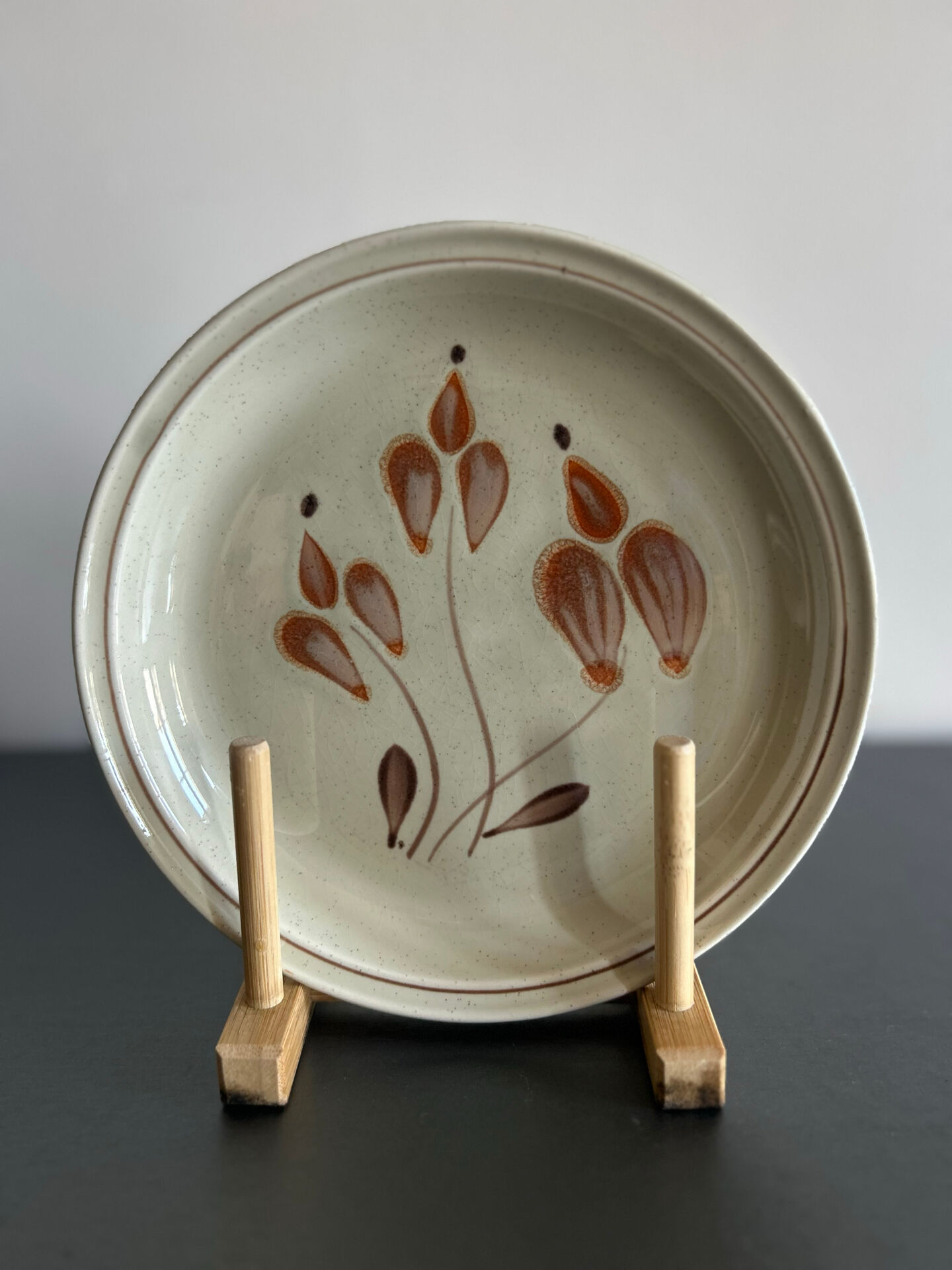 Assiettes en grès mat