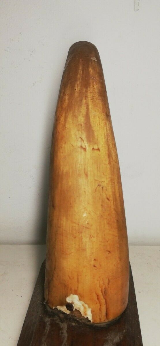 Cow horn coat holder