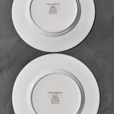 6 flat plates Villeroy & Boch basket model