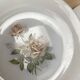 Set of 6 Arcopal Rose de France dessert plates