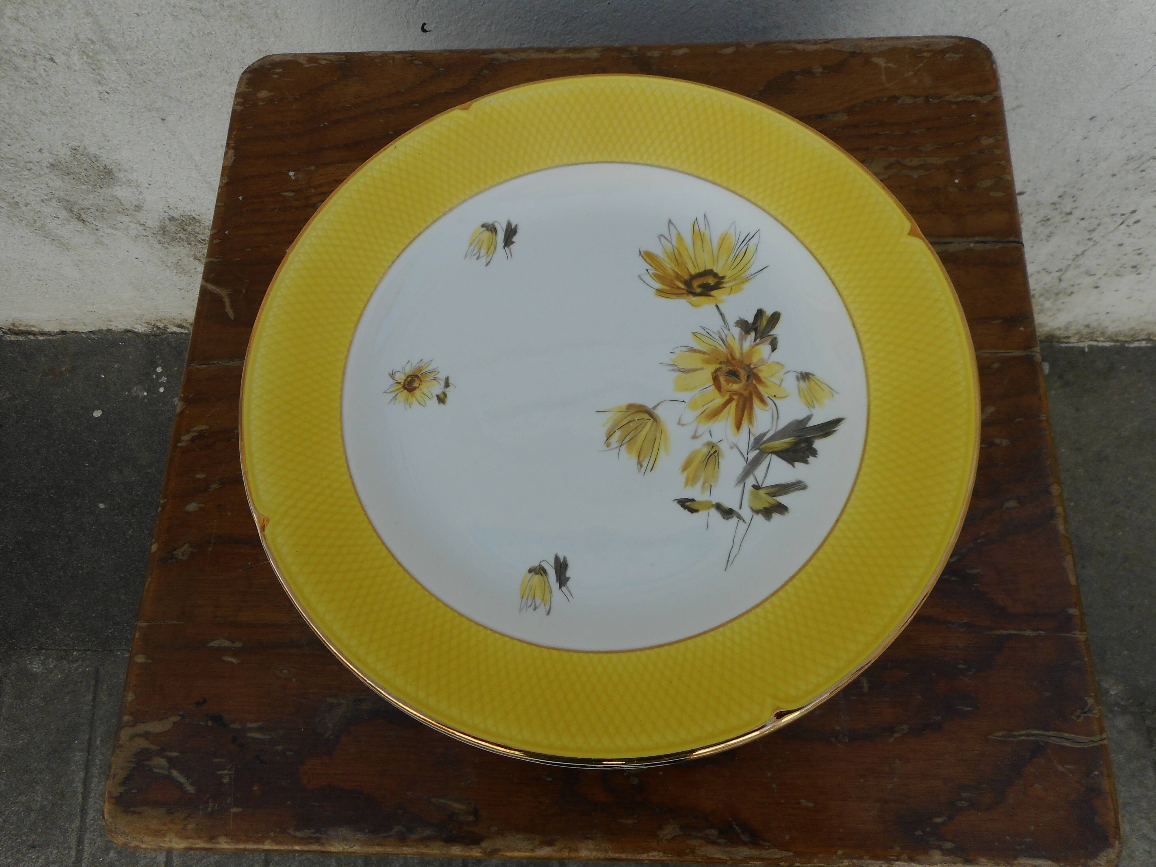 Six flat plates made of "Salins" earthenware