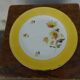 Six flat plates made of "Salins" earthenware