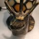 Lampe escargot en vitrail, style Tiffany, Honsel leuchten