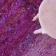 Vintage Collectible Rug - 317 x 179 cm