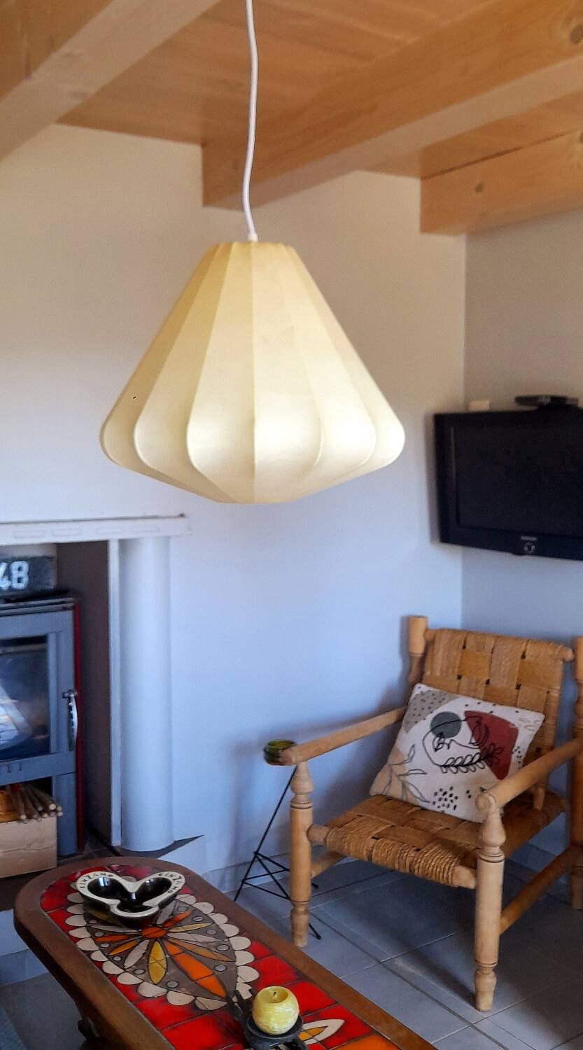 Cocoon pendant lamp 1960