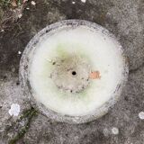 Planter, pot