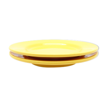 Set of 2 yellow ceramic plates
