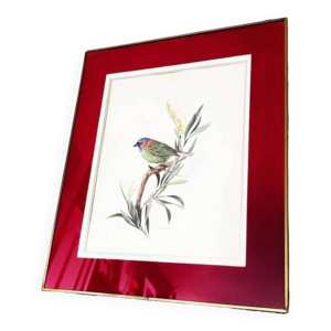 Lithographie d'oiseau