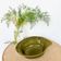 Ceramic fish dish