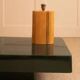 Aldo Tura lamp