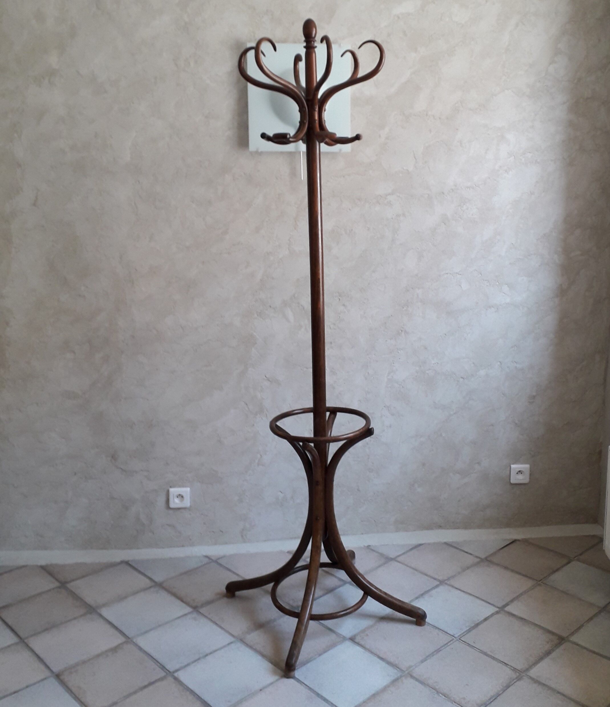 Wooden parrot holder