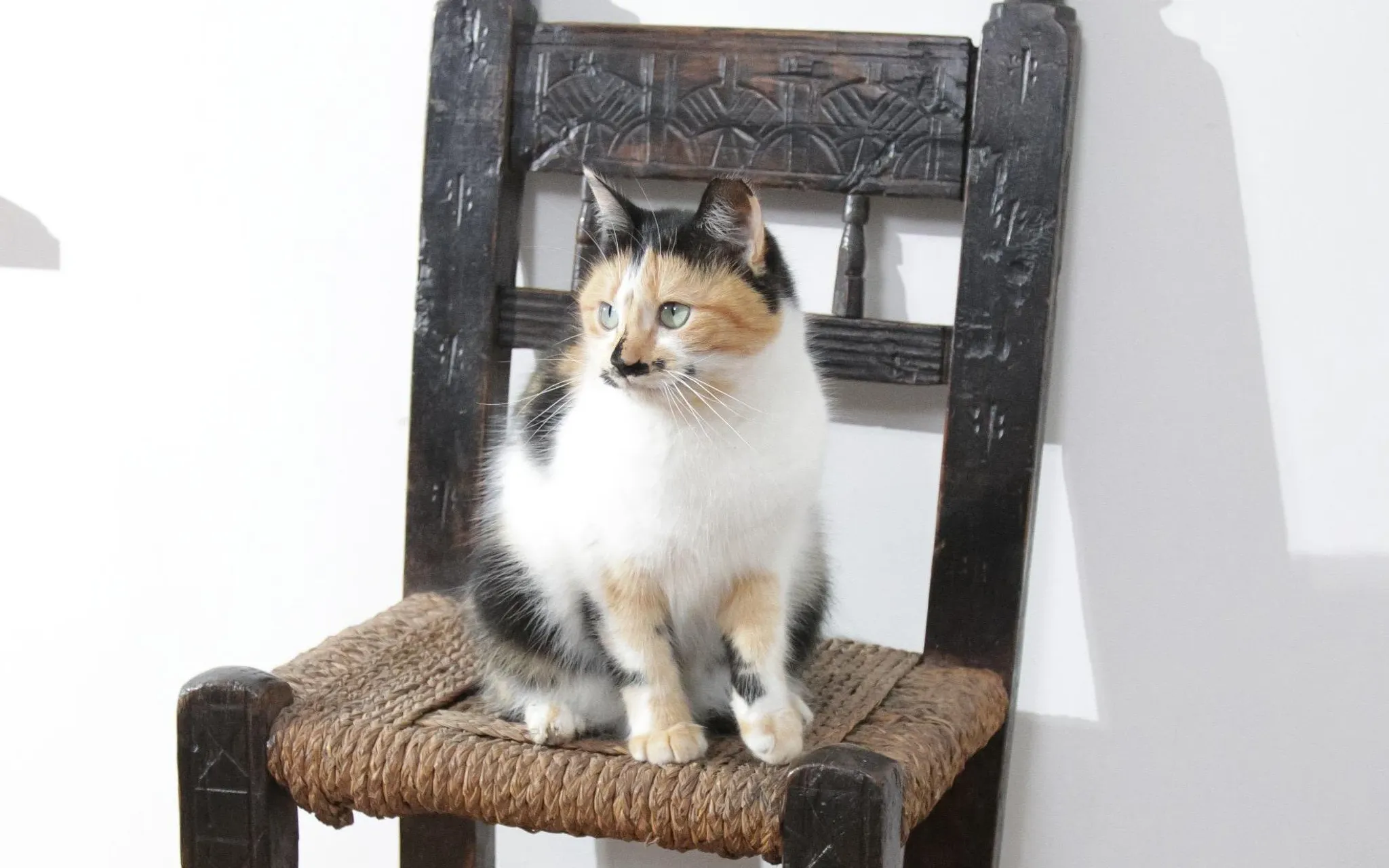 17th-century farmhouse chair with carved motifs – wabi sabi