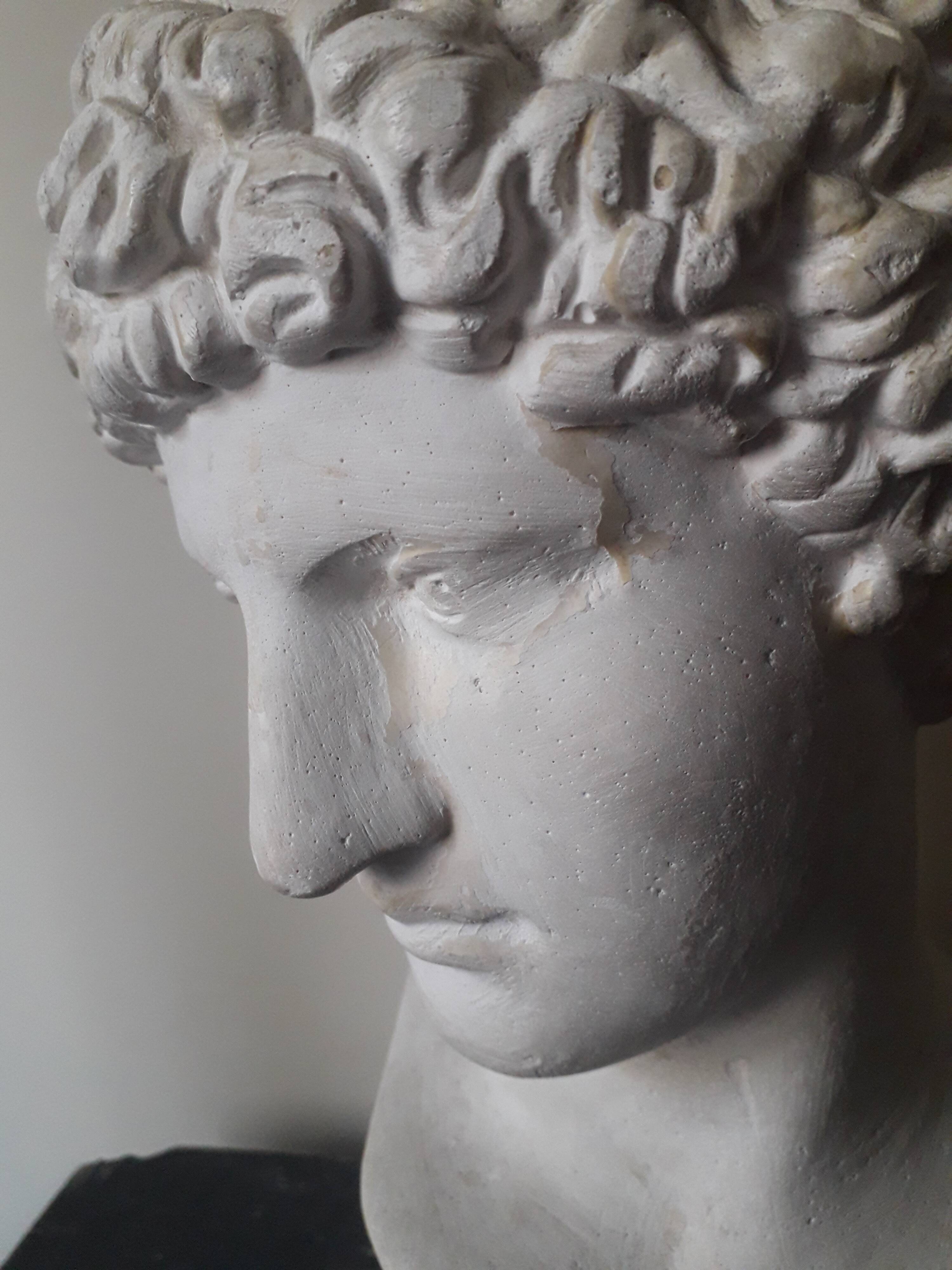 Bust plaster Apollo XIX th