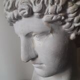Bust plaster Apollo XIX th