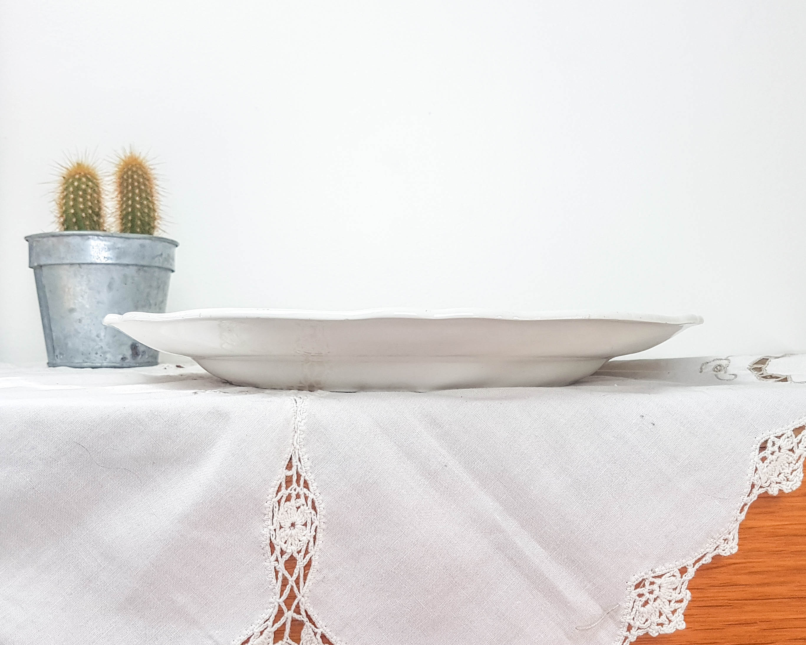 Table service in vintage earthenware Mills of Wolves "ORCHIES" 44 pieces