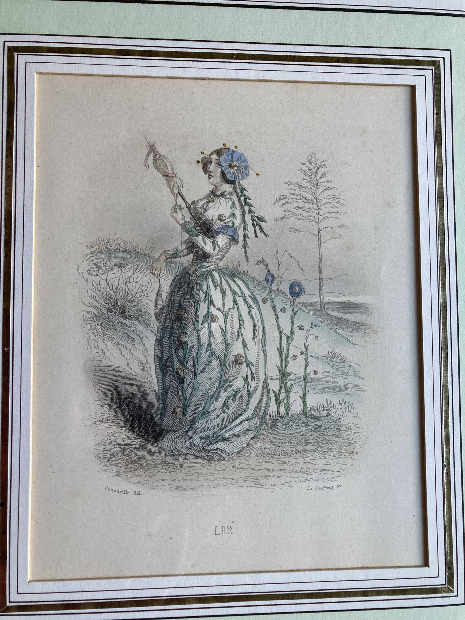 Lot 2 framed engravings "animated flowers" JJ Grandville: Linen and Tulip